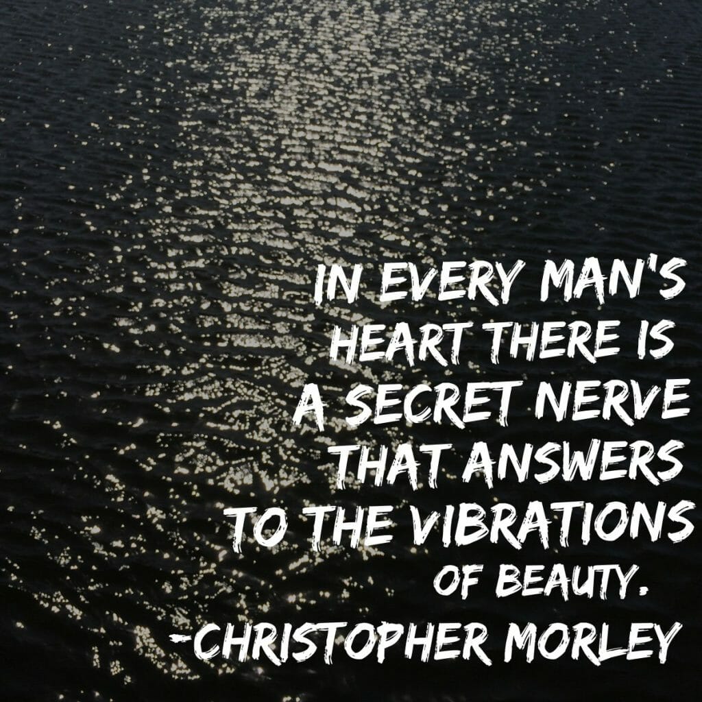 In every man's heart there is a secret nerve that answers to the vibrations of beauty.