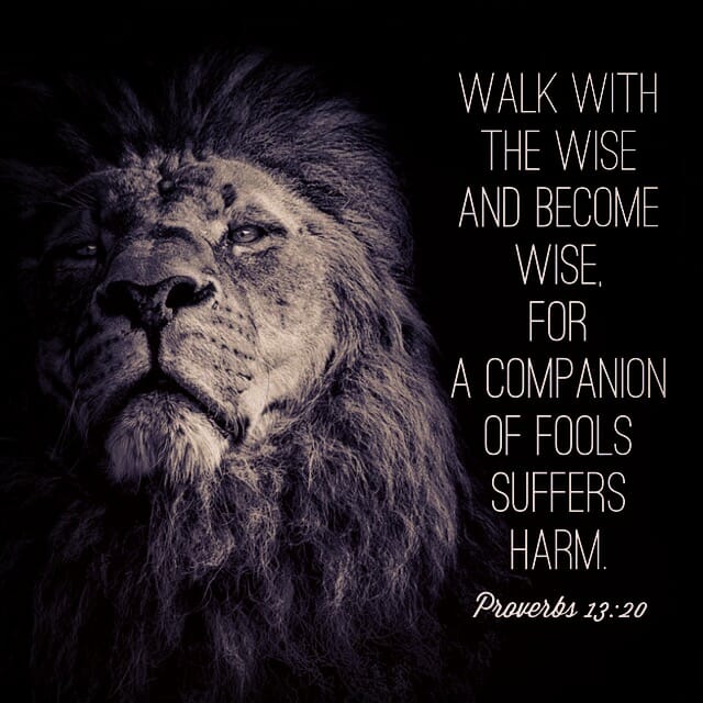 Wake with the wise and become wise, for a company of fools suffer harm. 
