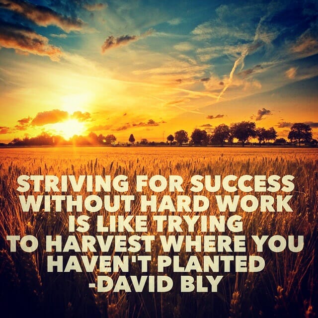 Striving for success without hard work is like trying to harvest where you haven't planted. - David Bly