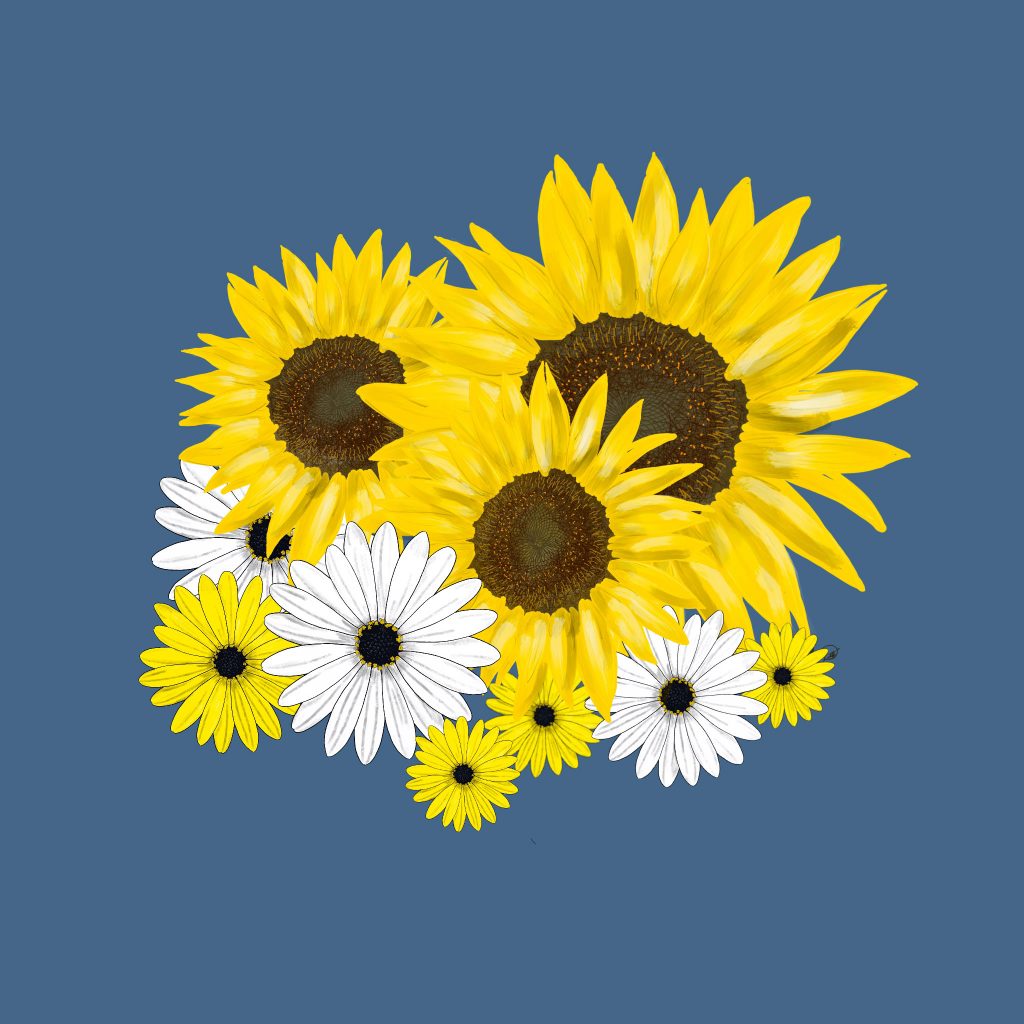 daisy and sunflower f deardurff